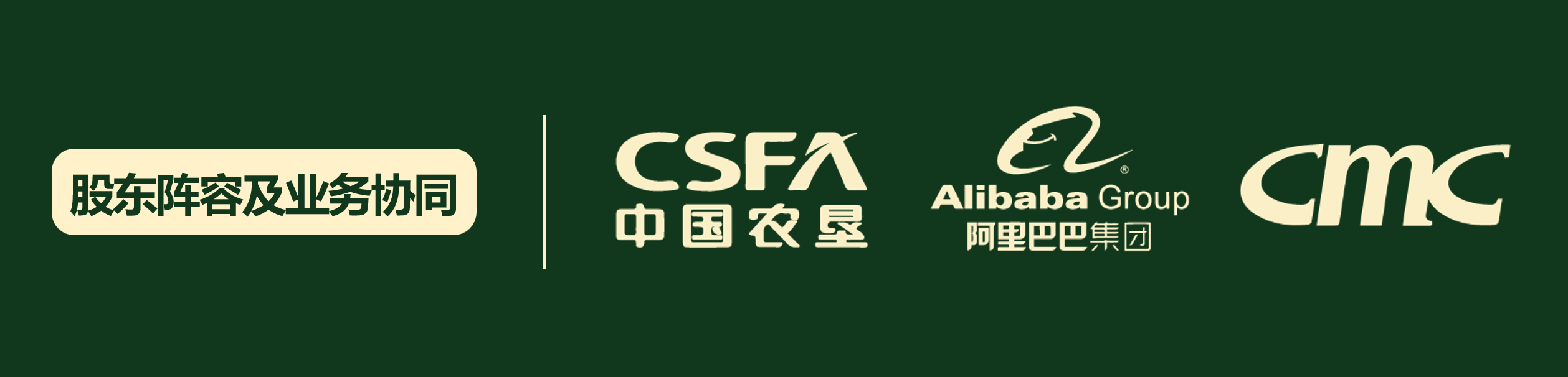 强大的股东背景